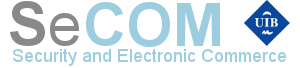 Security and Electronic Commerce logo